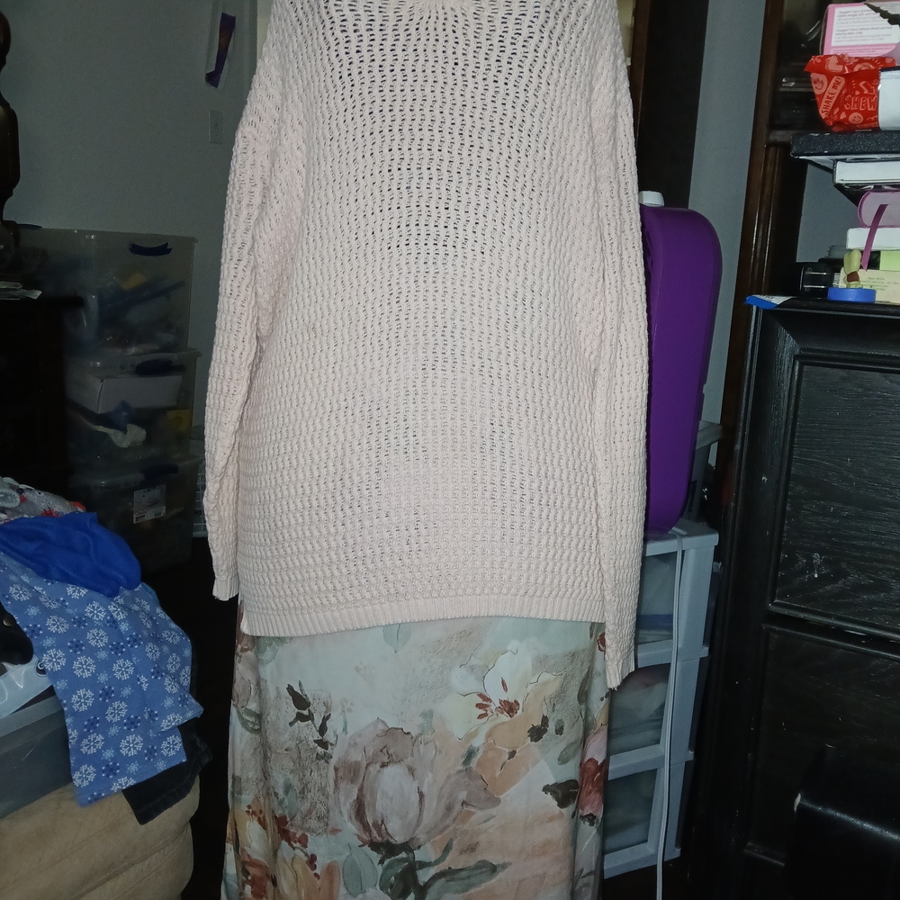 Style Studio Women's Pink Sweater And Skirt